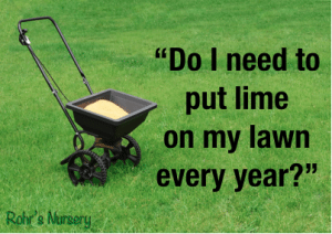 How often should I spread lime on my lawn?