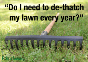 de-thatching your lawn
