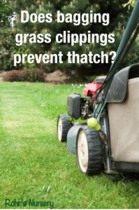 leaving grass clippings on lawn