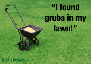 lawn care myths