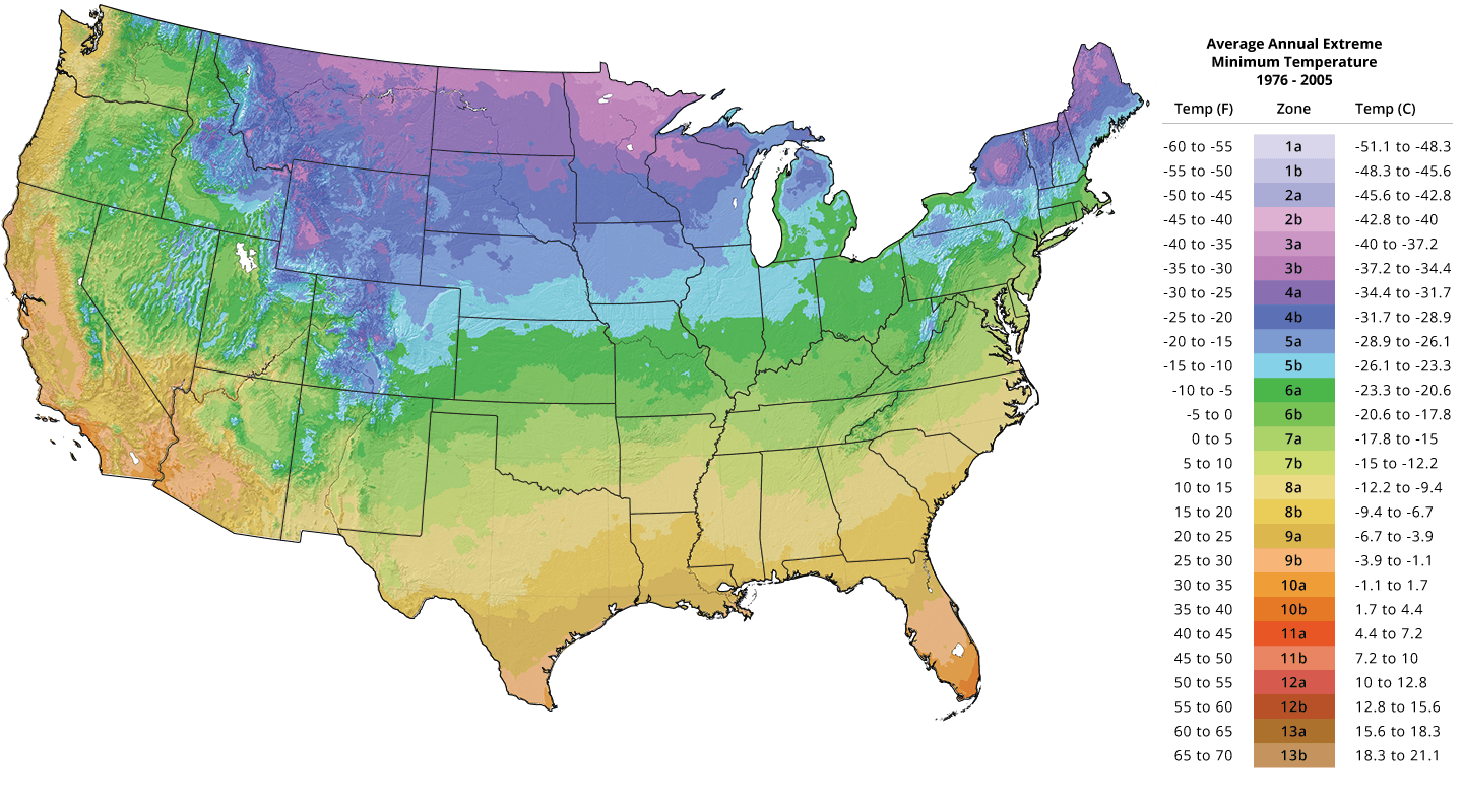 2024 Plant Hardiness Zone - Dian Corinna