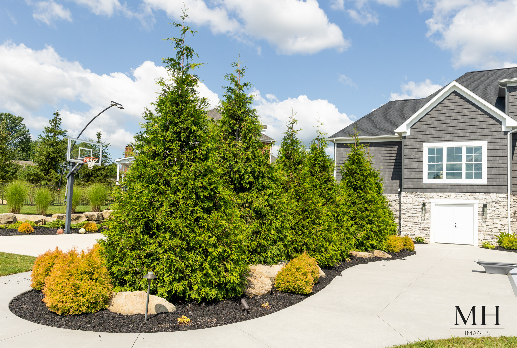O38A8647 large trees lining driveway