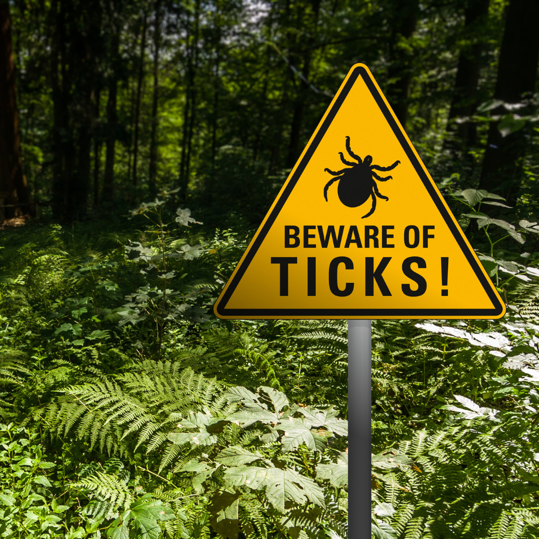 beware of ticks sign in forest
