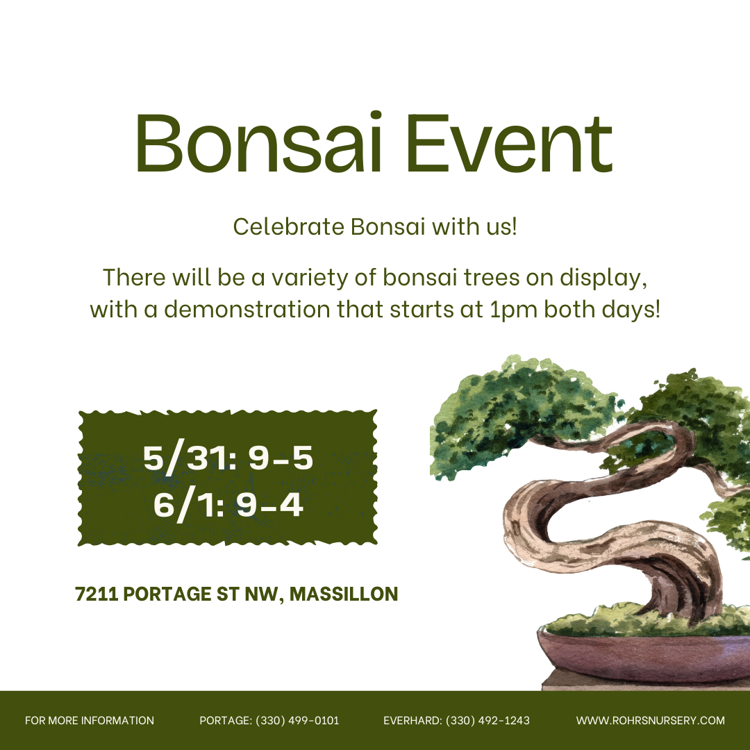 bonsai 2025 event