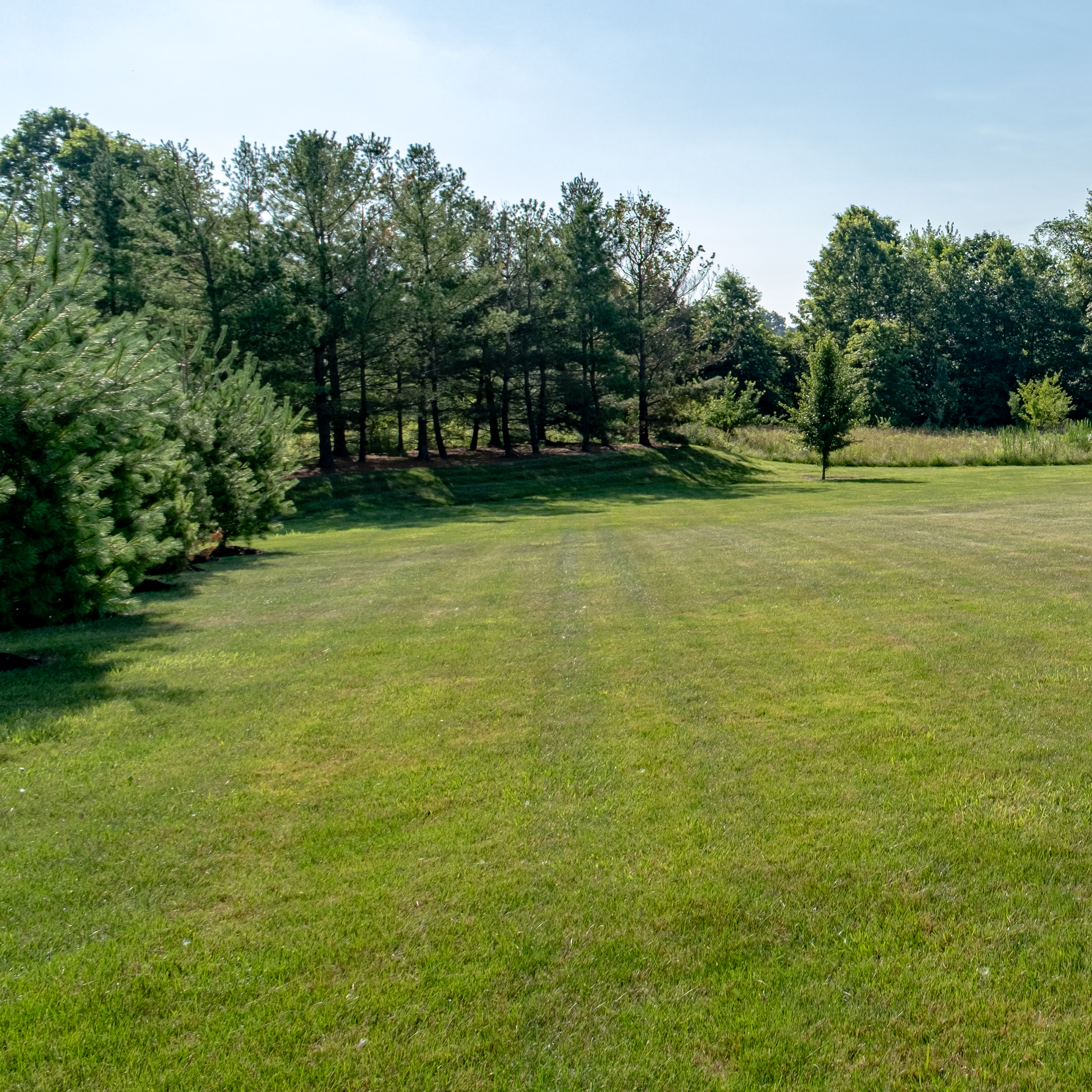 Phelps Photos-8215 backyard lawn