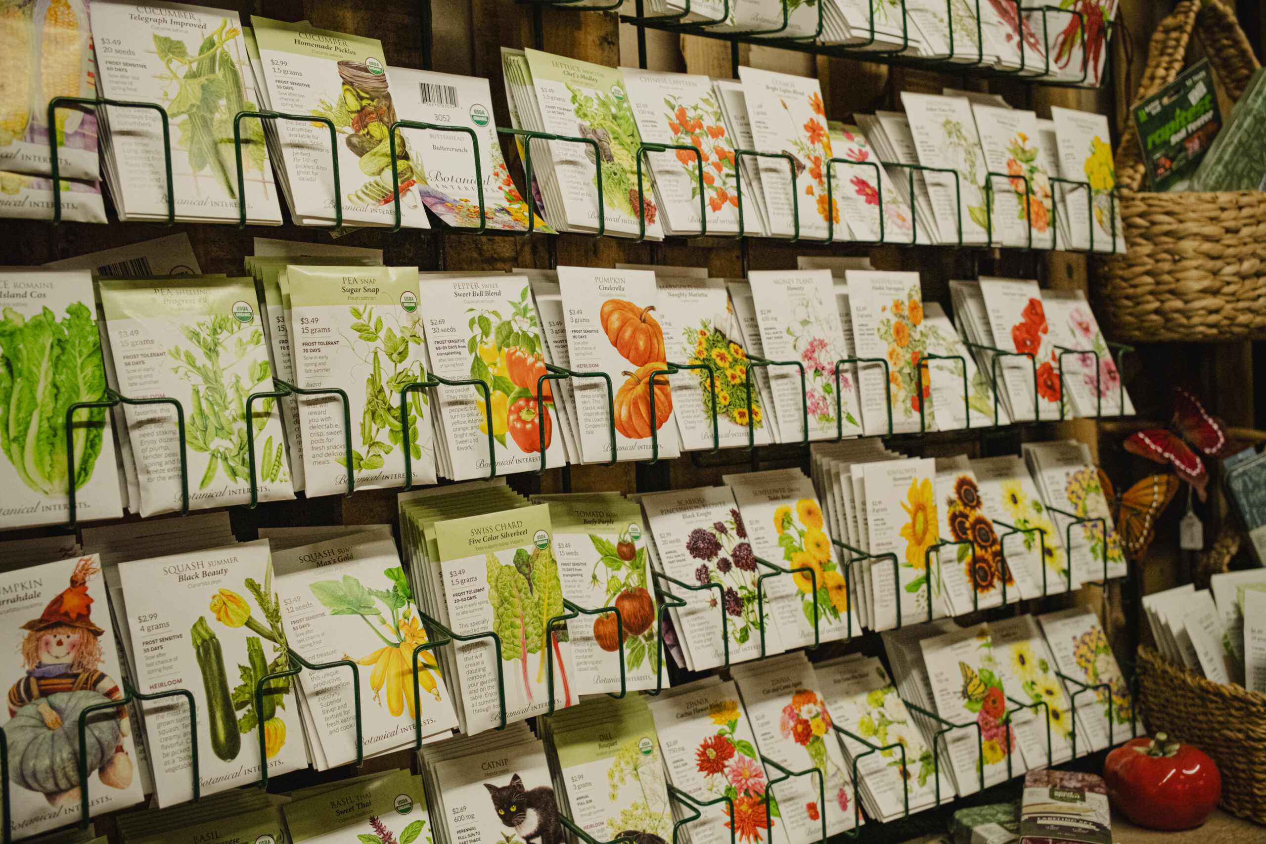 wall of seeds in the gift shop