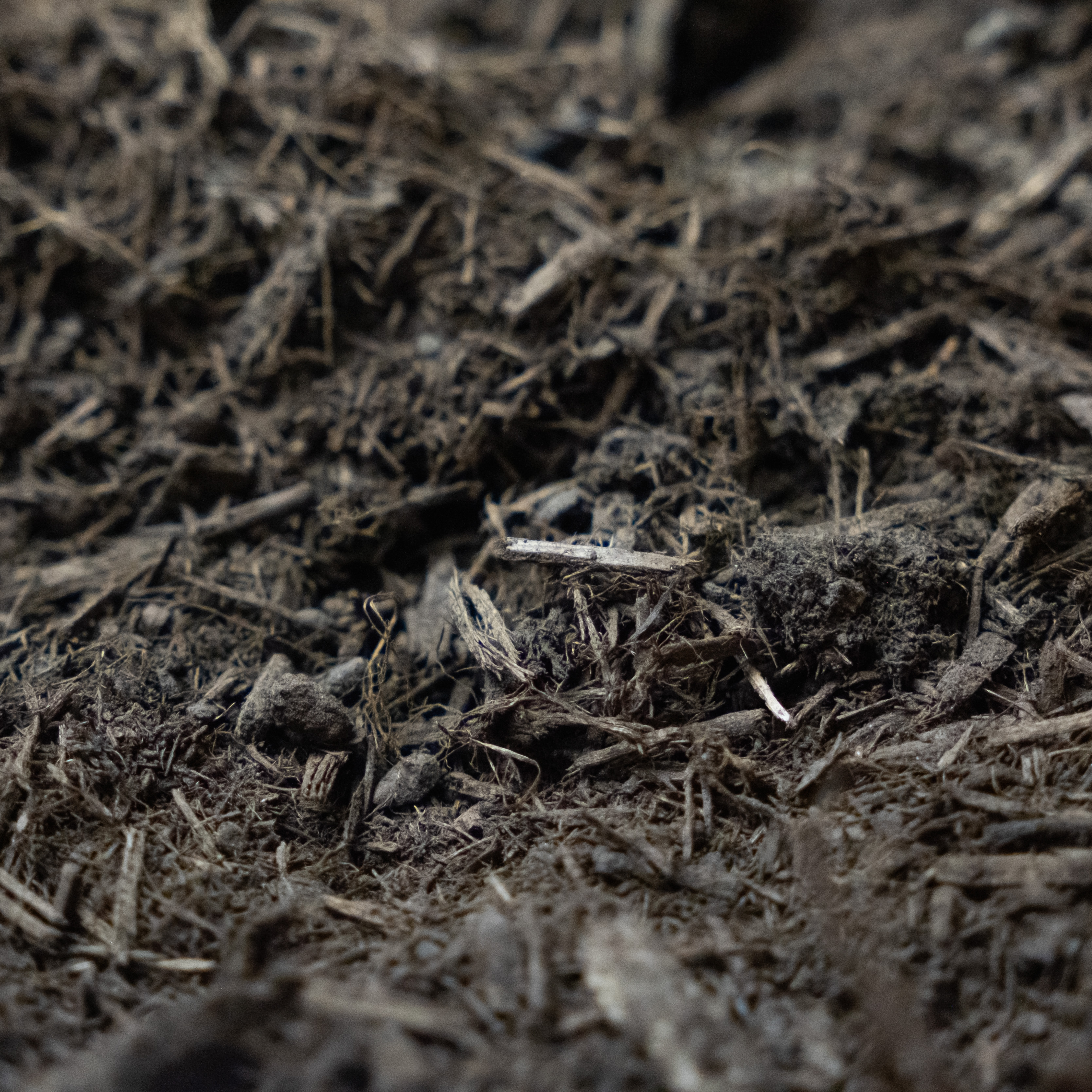 DSCF7355 Fine Double Shredded mulch