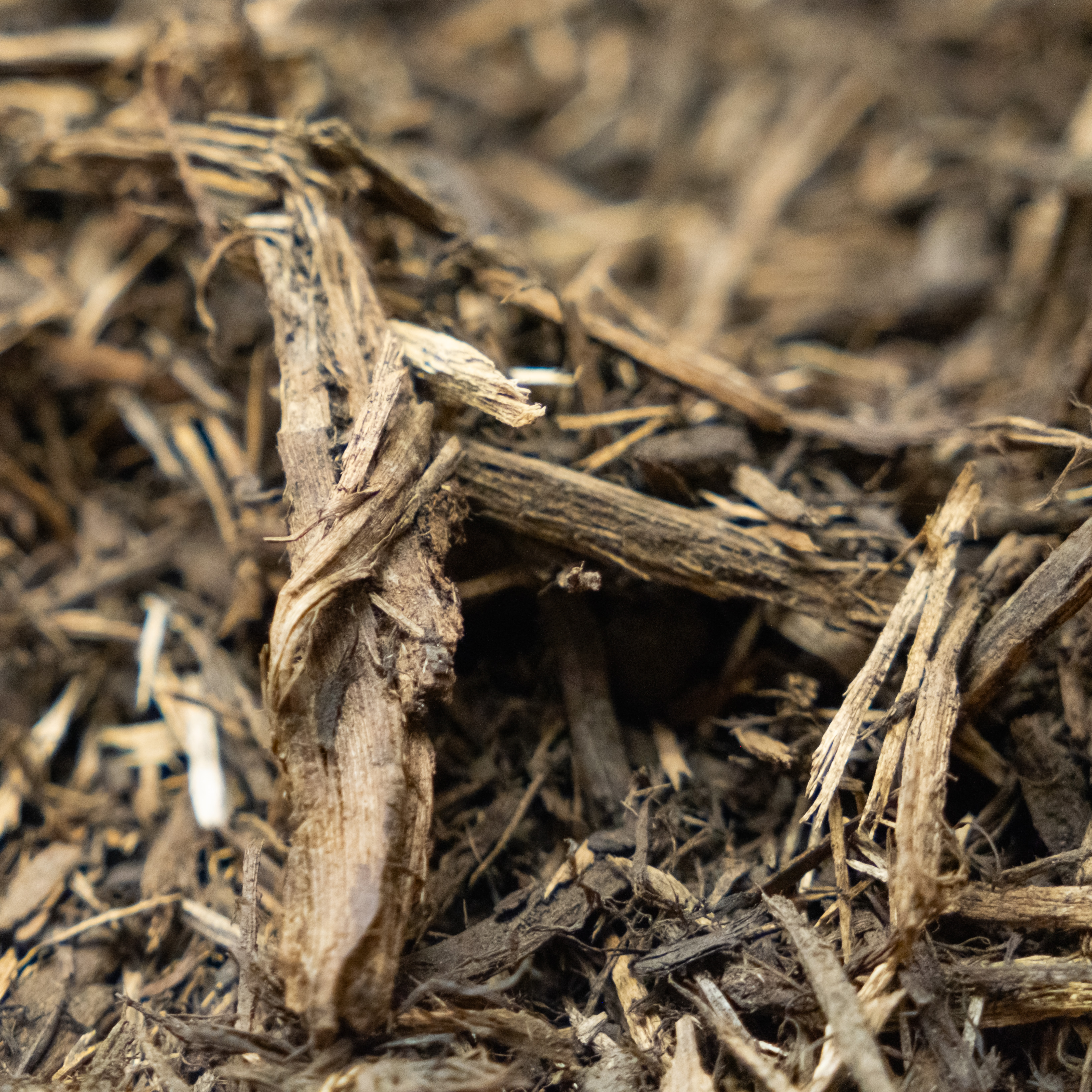 DSCF7356 coarse single Shredded mulch