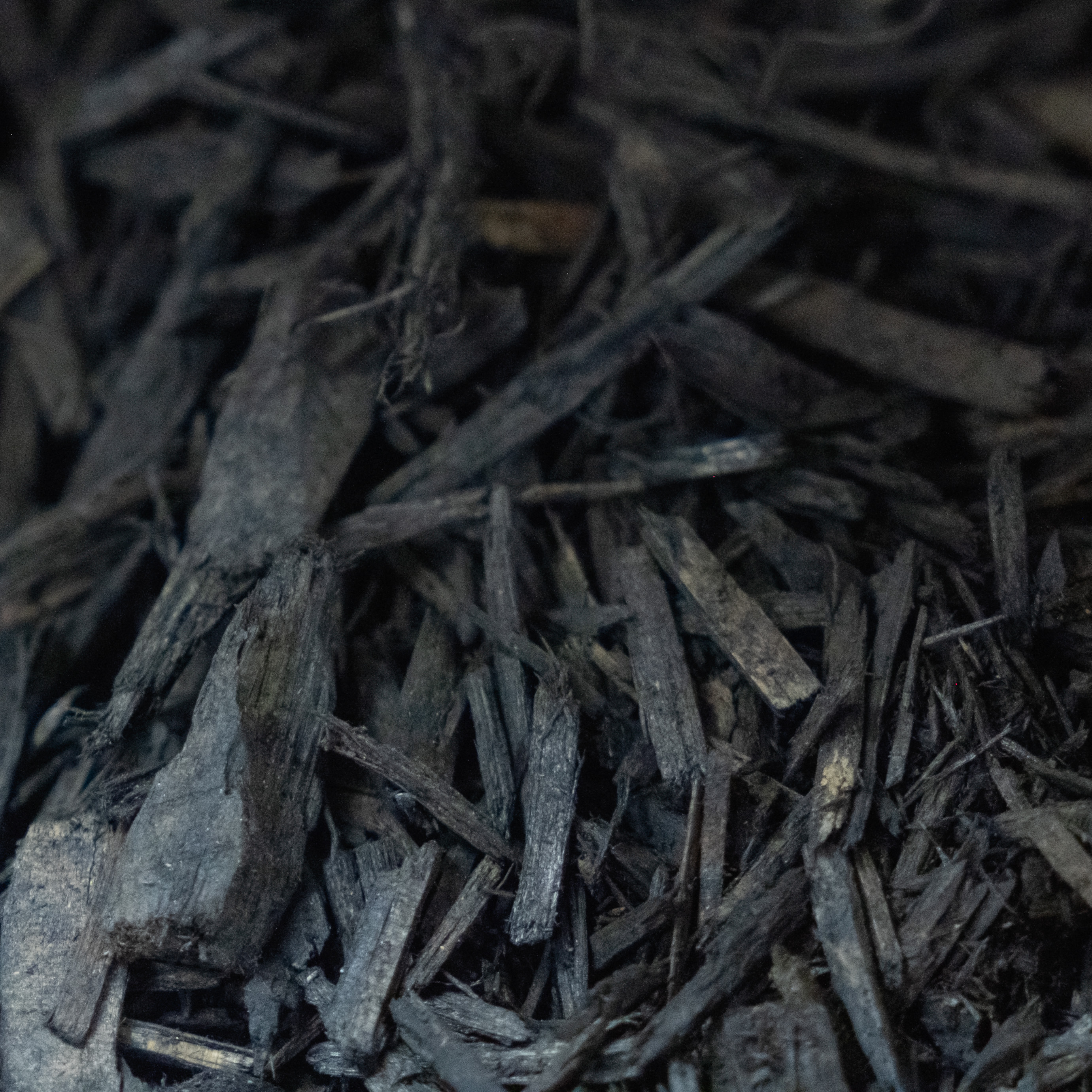 DSCF7359 black single Shredded mulch