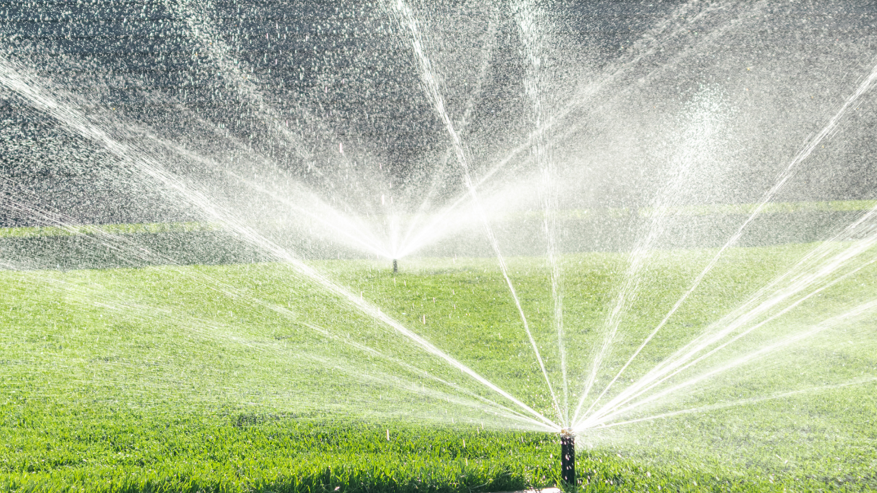 lawn sprinklers