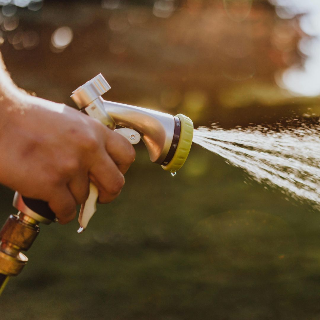 watering with hose