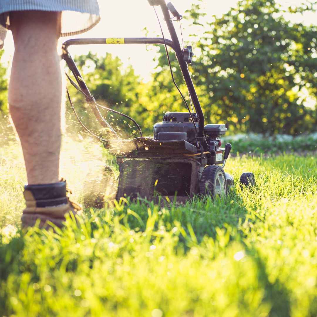 mowing lawn in the sun