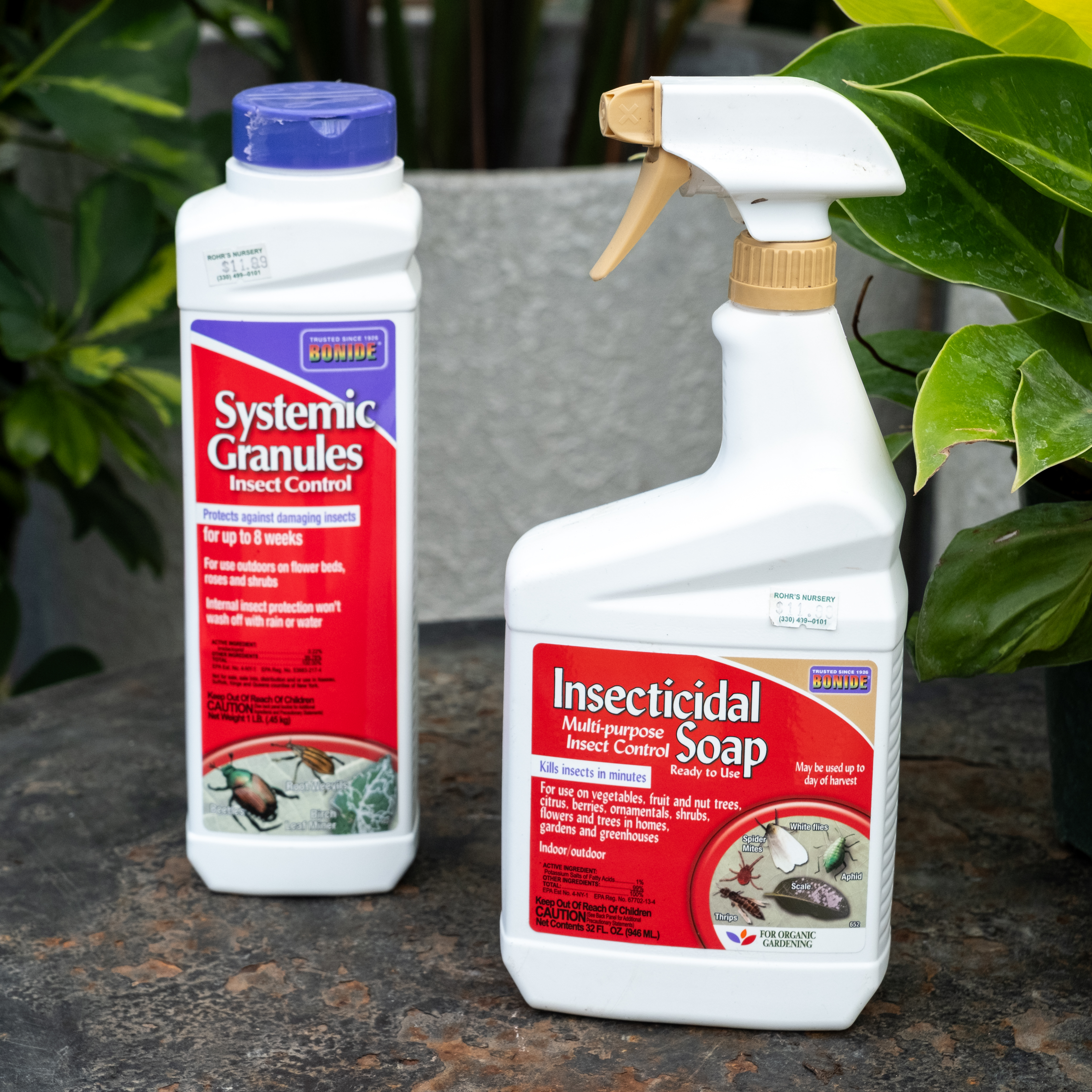 DSCF1342-2 systemic and insecticidal soap by bonide