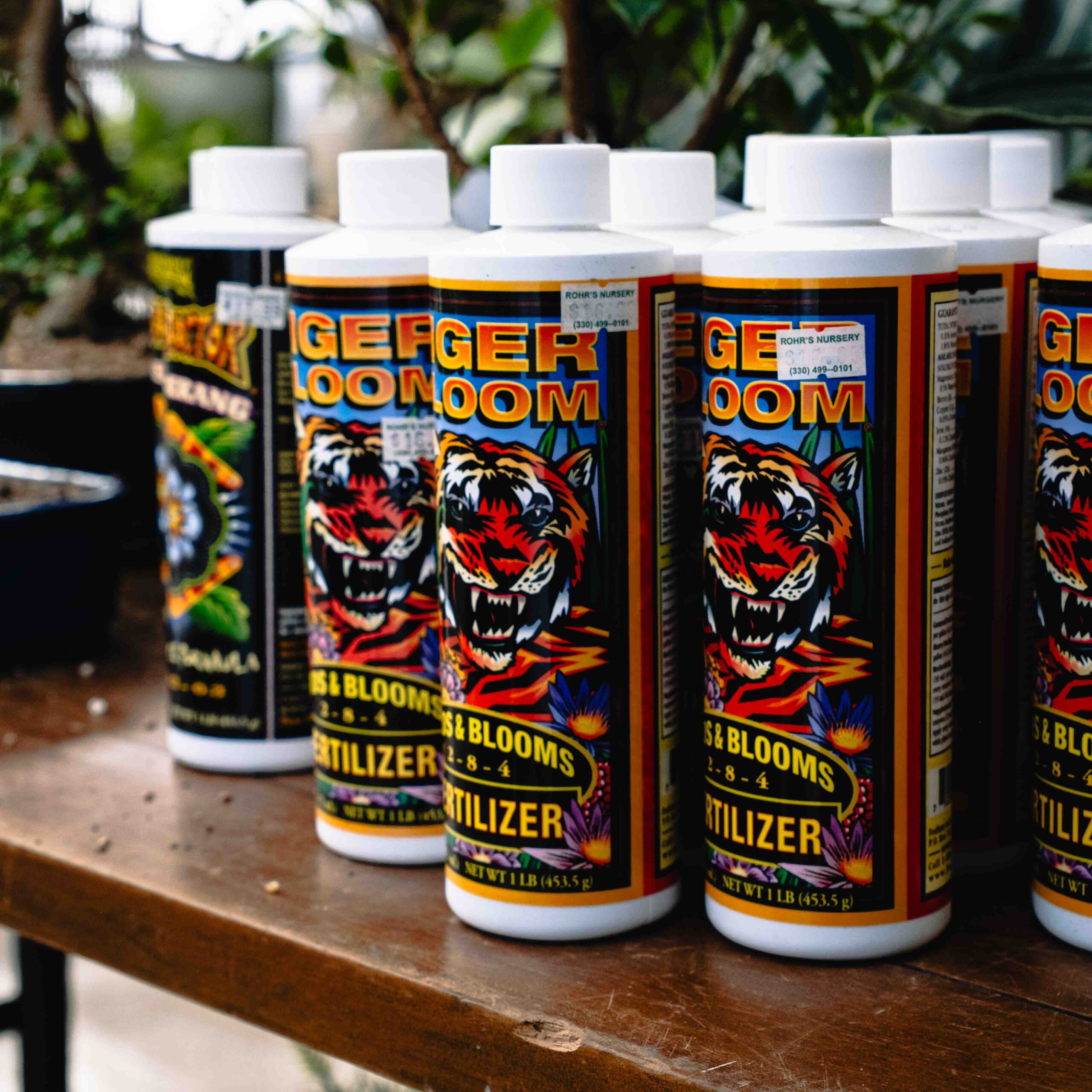 tiger bloom fertilizer