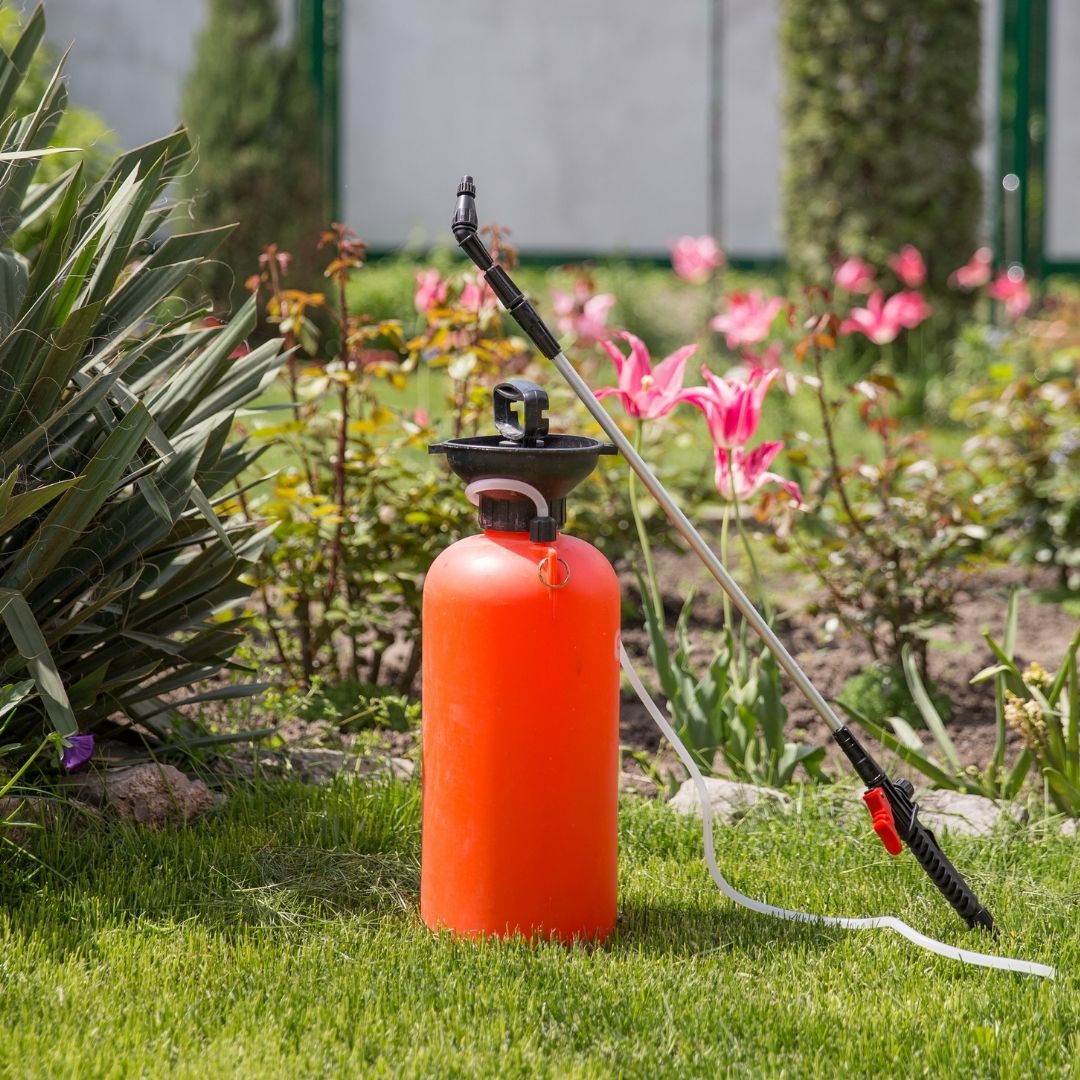 red pesticide garden sprayer