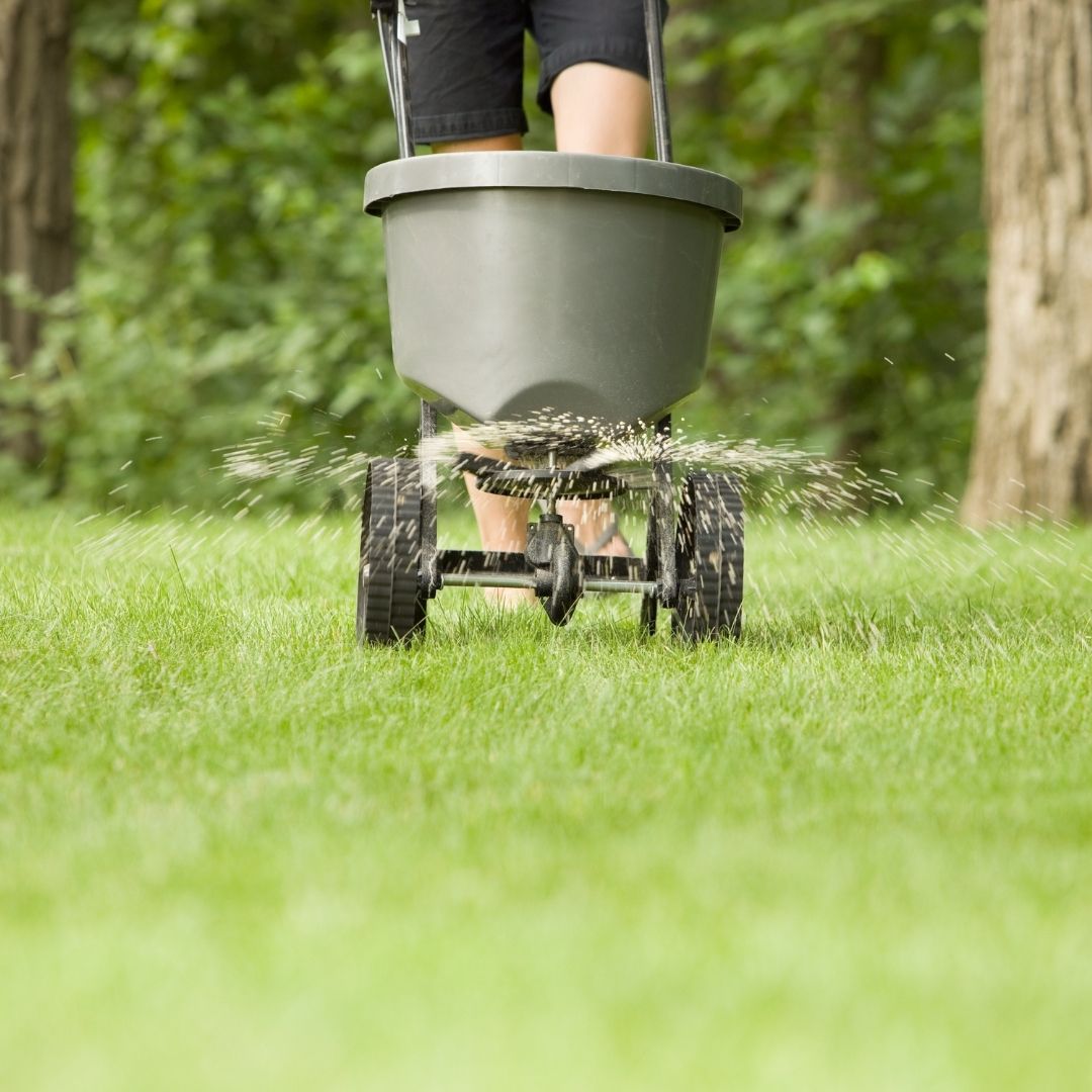 grass fertilizer spreader