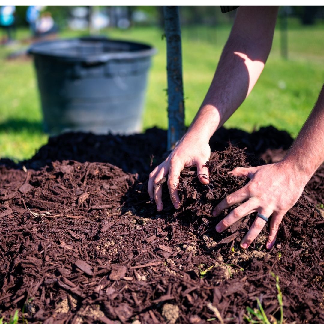 hands digging in dirt