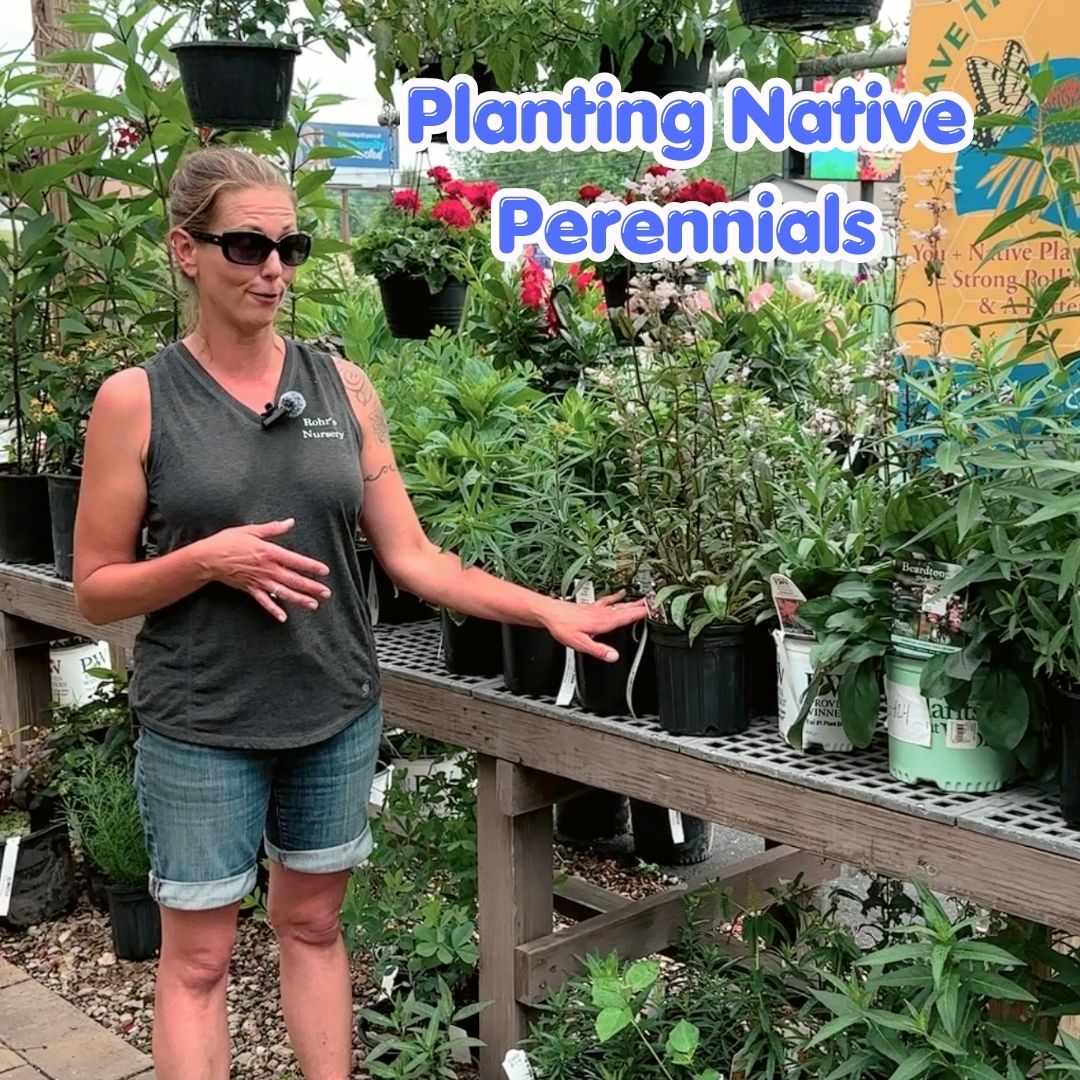 planting native blog cover