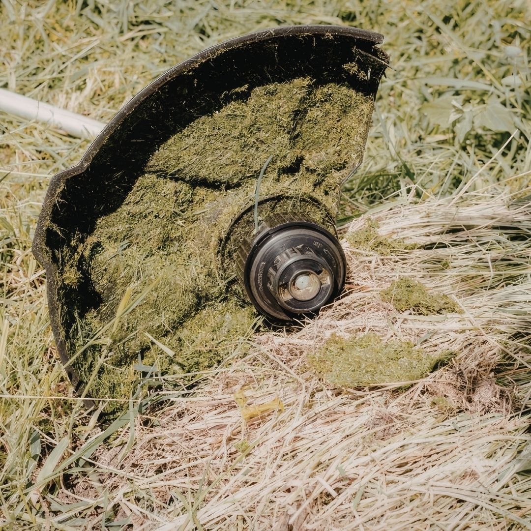 weed whacker in the grass