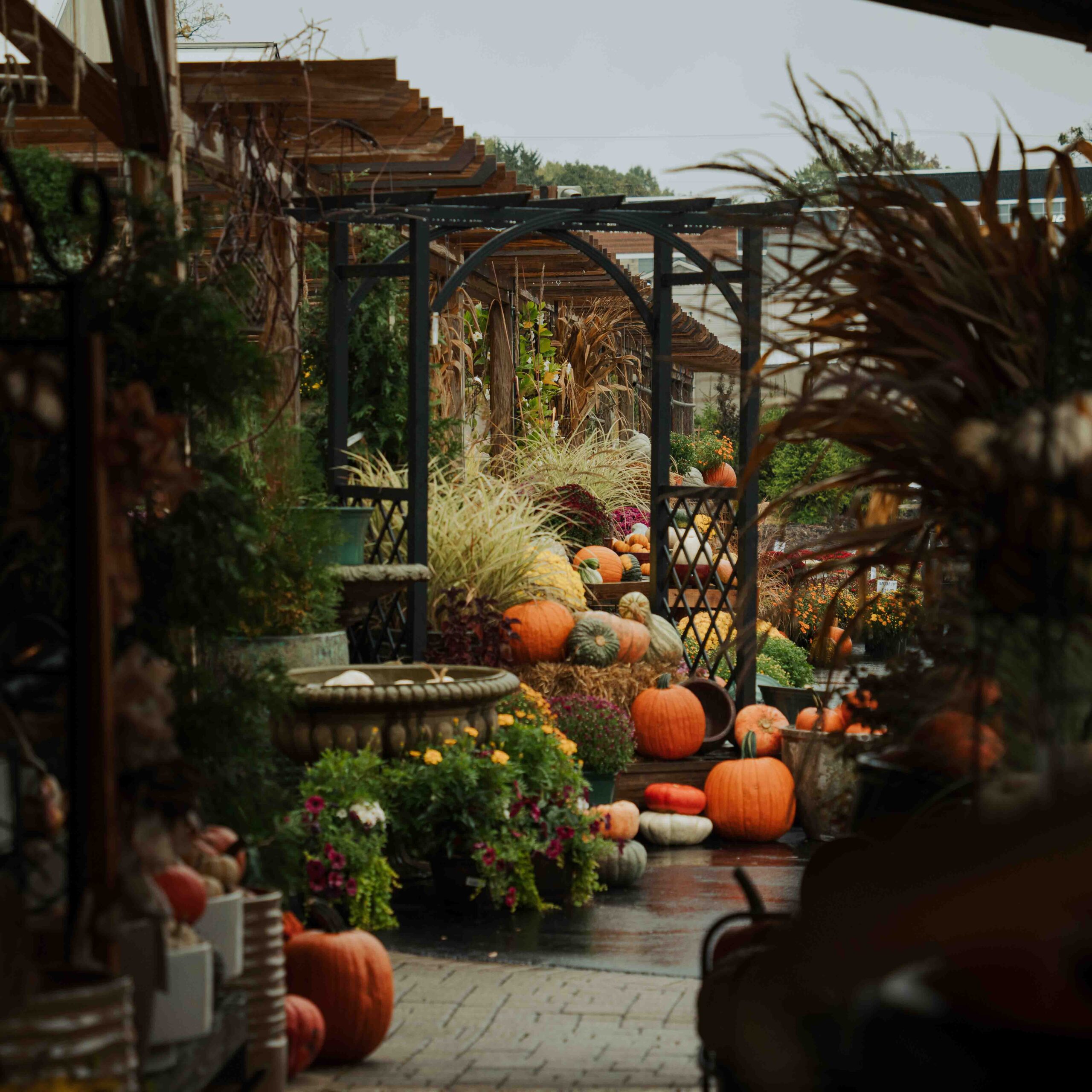 pumpkin fall outdoor decorations