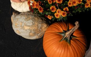 pumpkins and mums on the driveway
