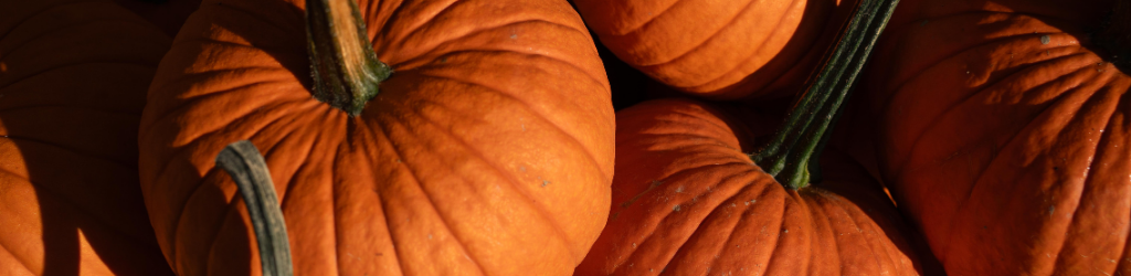 bin of pumpkins