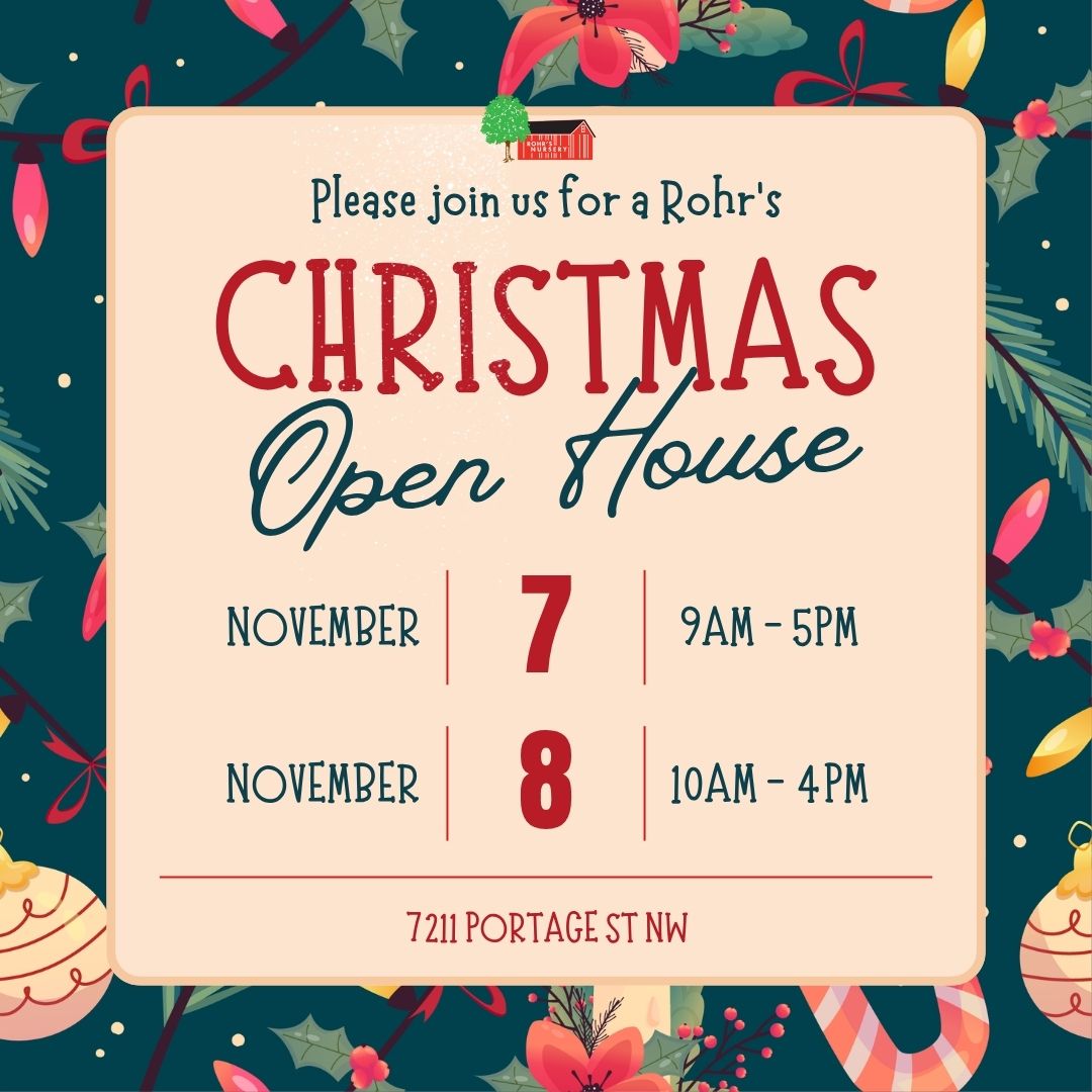christmas open house 26