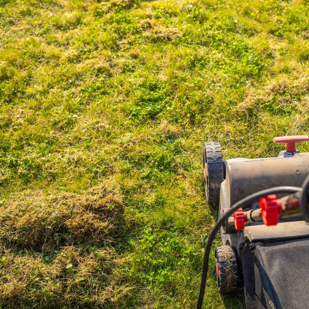 lawn mower mowing grass