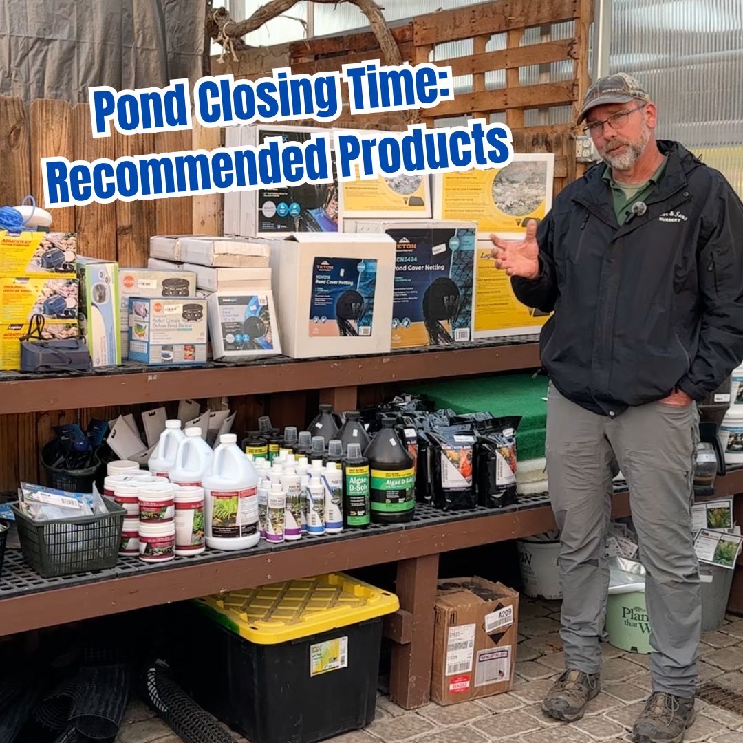pond closing time blog